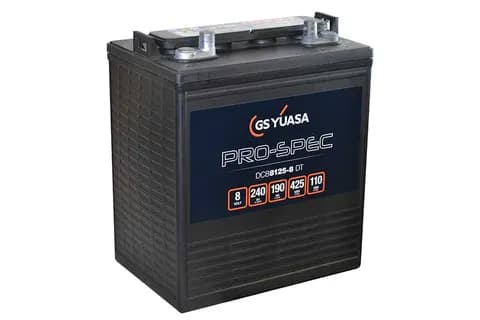 DCB8125-8(DT) (8V 240Ah)