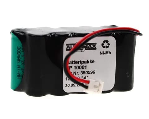 BP 10001 (12V-0,3Ah-2R-Forskjøvet-Plugg 53)